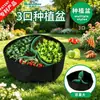 Macetas de Plantación de 3 Agujeros en Stock, Cubos de Plantación de Fieltro, Bolsas de Plantación Redondas, Bolsas para el Crecimiento de Plántulas de Flores y Verduras al por Mayor