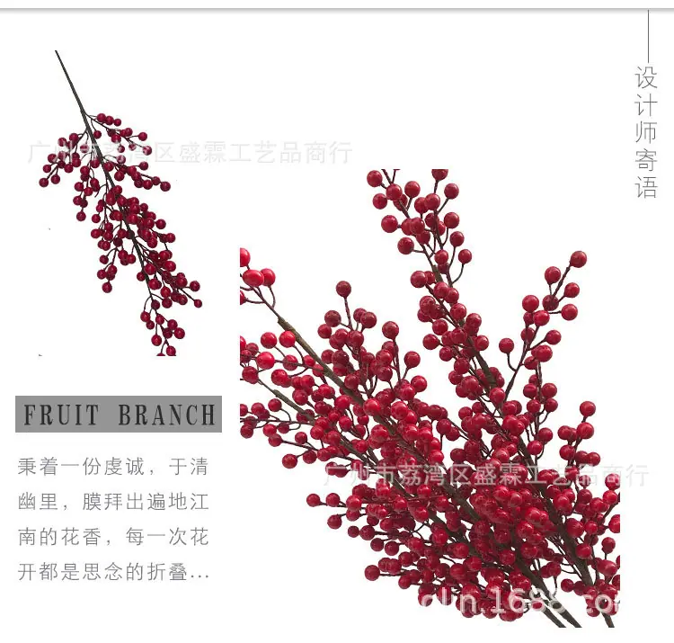 红果-(1)_02.jpg