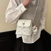 Nova Bolsa Feminina Quadrada Pequena Personalizada Outono 2026, Design de Nicho, Bolsa de Ombro Transversal Casual da Moda Tendência Simples
