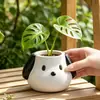 Maceta de flor de perro blanco de orejas grandes, maceta mini linda y adorable para plantas verdes de escritorio de oficina