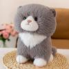 Juguete de peluche de gato de tela súper lindo de 8 pulgadas, muñeca de máquina, linda mascota, adornos para el hogar para enviar regalos a amigos al por mayor