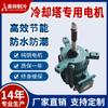 Motor de Torre de Refrigeración de Fibra de Vidrio Shangyu Aoshuai 0.75Kw-4P Motor Impermeable Dedicado para Torre de Refrigeración Alta Eficiencia