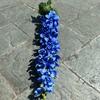 Viento de océano azul flores de simulación para boda al por mayor azul oscuro azul zafiro azul bruma blanco boda camino guía techo flores falsas