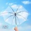 Guarda-chuva Transparente em Alta no TikTok Atacado Moda Guarda-chuva de Chuva Guarda-chuva Ecológico Exibição Criativa de Barraca Estilo Fresco Guarda-chuva com Cabo Curvo Cabo Longo