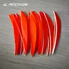 Multicolor 4 pulgadas Gota de Agua Delfín Pluma Real Pluma Derecha Pluma de Pavo Arco Recurvo Compuesto Tradicional Accesorios Universales para Arco
