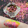 Venda Quente Transfronteiriça Nuvem Aurora Brocado Pó de Opala Super Fada Cor Gradiente Aquarela Polarizada Decoração de Unhas Cores Populares Primavera e Verão