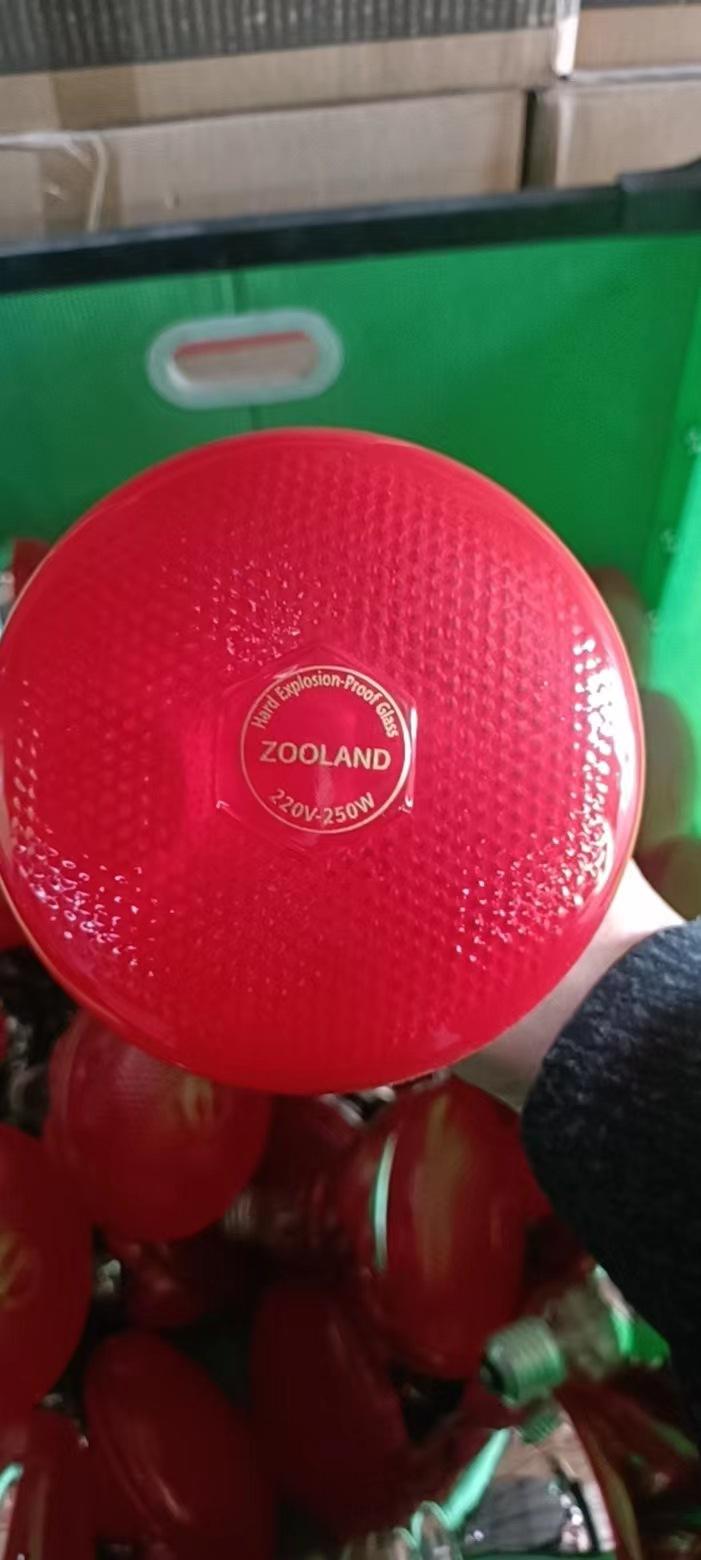 982f787fb45854ee281b4b821b06ba