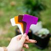 Etiqueta de jardinería de plástico PVC, etiqueta insertable, letrero de flores, etiqueta de planta verde, etiqueta de planta suculenta, etiqueta de orquídea, precio especial