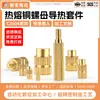 Ferramenta Térmica Condutora de Cola Quente Personalizada Não Padrão Ferro de Solda Conector Cabeça Térmica M2M8 Porca de Cobre de Cola Quente Kit Térmico