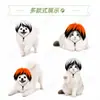 Fantasias de Halloween para Pets Gato Engraçado Peruca Explosão Pet Lenço Triângulo Estampado Babador Festa