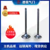 La Válvula Larga Cg200 es Adecuada para Motocicletas Zongshen y Otras Válvulas de Admisión y Escape, Tratamiento Térmico de Nitruración Aleación de Soldadura