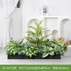 [Série Hc-An7] Caixa de Flores de Planta Verde Simulada Decoração de Sala de Estar Interna Janela de Chão a Teto Paisagismo Fotografia de Casamento Estrada
