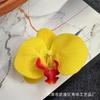 Filme de simulação Phalaenopsis Flower Head Simulation Flower Bag Acessórios Headwear Hairpin Flower DIY Handmade Wedding Ceremony Decoration
