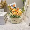 Boceto Creativo de Girasol y Frutas, Planta en Maceta Tejida a Mano Producto Terminado, Decoración de Escritorio, Regalo de Graduación para Maestras Niñas