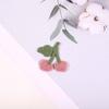 Calcetines Accesorios para la Cabeza Ropa Parche Etiqueta de Tela Accesorios Decorativos DIY Creativo Versátil Serie de Cerezas y Fresas Pegatinas de Tela Bordadas
