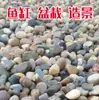 Guijarros, piedras en bruto, piedras para acuario, piedras para macetas, guijarros naturales, decoraciones para patios, piedras para jardinería, adoquines de colores