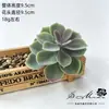 2026 Conjunto de Mini Enfeites de Plantas Suculentas Simuladas Aveludadas Decoração Externa para Casa Plantas em Vasos Bonsai Suculentas Atacado