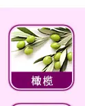 日用香精系列明细_17.jpg