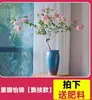 Planta Pote Mas Bougainvillea com Florais Velho Pilha Verde Zhang Vermelho Cereja Galhos Flutuantes Planta Trepadeira Vasos Varanda Interior Florais Floração Quatro Estações