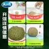 King Dragon Señuelo para Peces Color Fruta Azul Fragante Carpa Juvenil Señuelo Especial para Pesca Salvaje a Alta Temperatura para Carpa, Carpa Herbívora y Carpa Negra