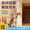 Novo produto para animais de estimação transfronteiriço: brinquedo elétrico para gato, bola de levantamento automático do gato da sorte, bola provocadora para gato, sem emaranhamento, versão recarregável