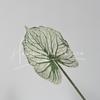 Flor Artificial de Hoja de Lirio de Calas Individual 3D para Decoración de Bodas, Flor Artificial de Planta Verde para Paisajismo, Decoración de Muebles de Hotel, Venta al por Mayor de Flores Artificiales