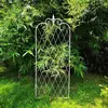 Suporte para planta trepadeira clematis estilo americano, tela de grade de ferro, suporte para flores de rosa, decoração de jardim externa estilo europeu