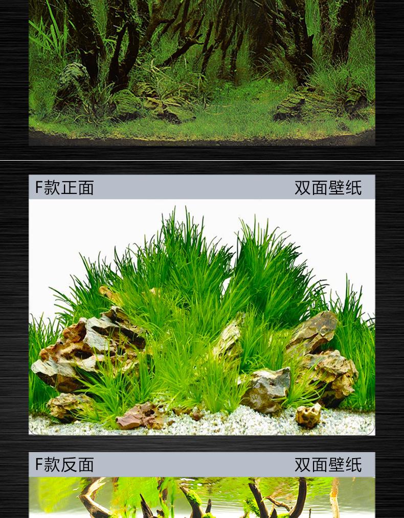 鱼缸壁画_新详情_10