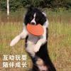 Frisbee para Mascotas Frisbee Suave Suministros para Entrenamiento de Perros Juguete de Alivio de Descompresión para Perros Suministros para Mascotas Frisbee de Silicona de Grado Alimenticio