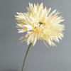 Girasol Africano Cepillado Helangju Modelo Nórdico Decoración de Habitación Diseño de Boda en el Extranjero Accesorios en Vivo Flor