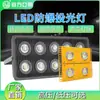 Luz LED Antiexplosiva Luz de Túnel Fábrica Taller Almacén Iluminación Obra de Construcción Construcción Bajo Voltaje 36V24 Reflector Antiexplosivo