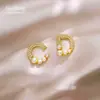 Pendientes de Perla de Moda de Nicho Aguja de Plata con Incrustación de Letra Cd para Mujer, Pendientes de Personalidad de Temperamento de Nicho, Pendientes de Lujo Ligero de Gama Alta