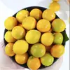 Kumquats Crujientes de Guangxi Deberían Estar en Temporada Fruta Kumquats Pieza Entera Envío Gratis Fruta Fresca Kumquats de Piel Crujiente Una Pieza Dropshipping