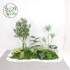 Paisajismo de Plantas Verdes Paisajismo de Balcones Decoración de Plantas Artificiales para Interiores y Exteriores Planta Viajera Plátano Espalda de Tortuga Planta Debajo de las Escaleras Paisajismo