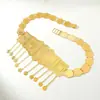Corrente de Cintura de Metal Estilo Étnico Transfronteiriça para Mulheres Vazada Esculpida Flor Moeda Franja Corrente Corporal