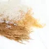 Artemisia gypsophila flor seca hierba de los sueños material DIY quinoa espinosa flor seca holandesa arena de construcción modelo de escena de maqueta