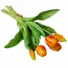 Oferta especial: 5 Tulipanes de Goma Suave para Arreglos Florales, Flores Artificiales para Decoración del Hogar, Hotel y Centro Comercial