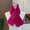 Cachecol Protetor Frio Outono e Inverno, Protetor de Pescoço com Aparência Elegante, Cachecol e Xale Versátil de Lado Duplo Quente para Mulheres, Fornecimento Transfronteiriço, Alto Padrão