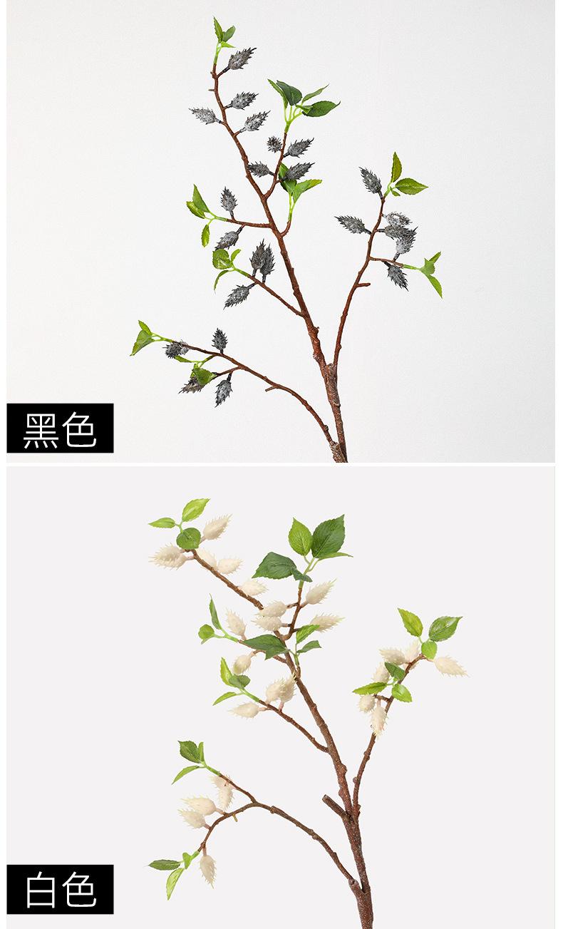 中枝橄榄果详情图
