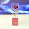 Rosa de Lámina de Oro Flor Artificial Amante Día de la Madre Regalo Rosa Individual Regalo Creativo para Eventos Navidad Transfronterizo
