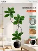 Plantas Verdes Artificiais de Alta Qualidade para Decoração de Sala de Estar, Planta Realista Falsa de Figueira-da-Índia Preta para Decoração de Sala de Transmissão ao Vivo