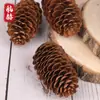 Venta al por mayor del fabricante Piña de Abeto Pino Cono Grande Cabeza de Bosque Cono de Pino Bola de Pino Decoración Navideña Manualidad DIY Material de Manualidad