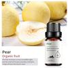 Exportación Transfronteriza Aceite Esencial Individual Fragancia Aromaterapia Masaje Aceite Esencial Sándalo Difusor Mayoreo Muestra de 10 ml