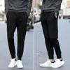 Calças masculinas 2024 Calças casuais esportivas de verão Calças masculinas na moda novo estilo coreano Calças Haren Slim-fit Calças finas respiráveis