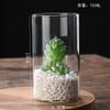 Jarrón de vidrio transparente hidropónico con adornos de alto valor, jarrón creativo para sala de estar, jarrón de vidrio de borosilicato simple y alto.