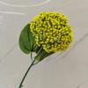 Acácia Fruta Escandinavo Modelo Doméstico Quarto Restaurante Arranjo de Flores Decoração Fotografia de Casamento Foto Adereços Ramos de Fruta Simulados