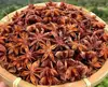 Coleção de Especiarias: Anis-estrelado, Canela, Erva-doce, Pimenta, Cominho, Marinada, Uso Comercial e Doméstico, Temperos Atacado, Opções Sortidas, Pimenta de Sichuan, Pimenta Caiena