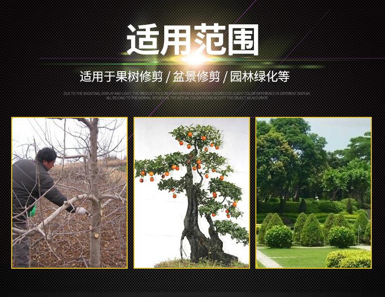 9159928683_743107704