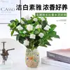 Planta de Gardenia en Maceta con Capullos de Flor, Flor de Jazmín, Fácil de Cuidar, Planta Hidropónica, Planta Verde para Oficina, Sala de Estar, Escritorio, Todas las Estaciones