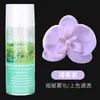 Materiais de Embalagem para Flores, Tinta Spray para Flores Secas, Tinta Spray Cor de Ameixa Preta para Flores, Tinta Spray Floral, Tinta Spray para Flores, Spray de Cor para Flores